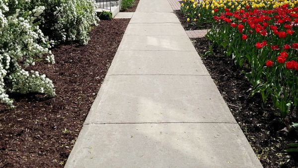 Cost of Concrete Pathway Repair in Lincoln